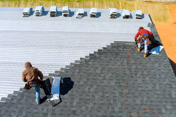 Best Roof Leak Repair  in Albany, MO