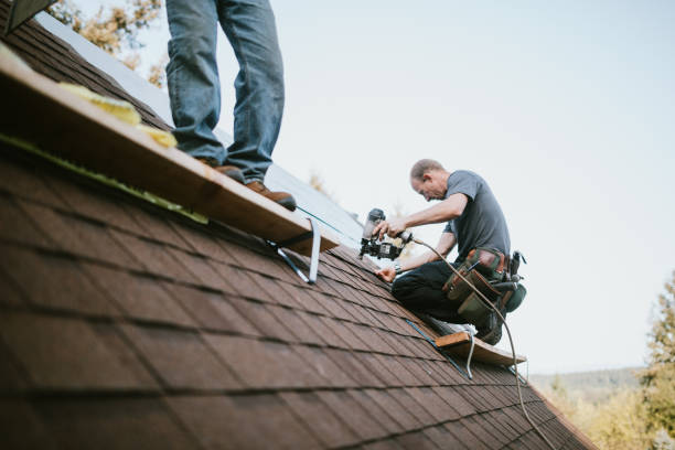 Quick and Trustworthy Emergency Roof Repair Services in Albany, MO